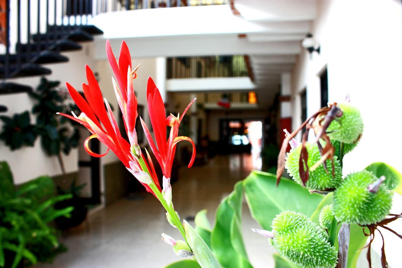 Casa Blanca Tequisquiapan Hotell Eksteriør bilde